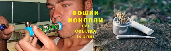 индика Балабаново