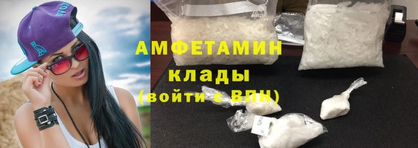 индика Балабаново