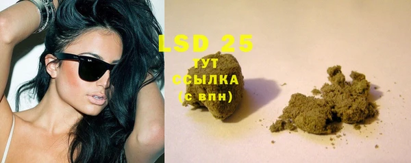 индика Балабаново
