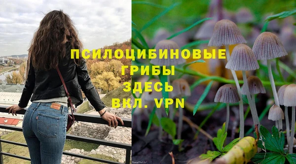 трава Баксан