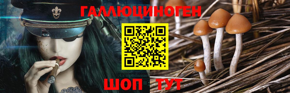 Галлюциногенные грибы прущие грибы Губкин